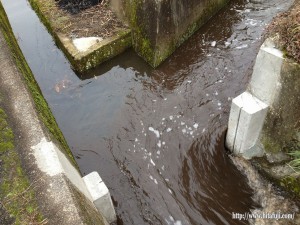 調整池から流れている汚濁水25.5